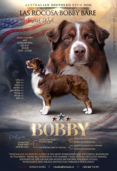 Las Rocosa Bobby Bare